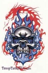 Dragonskullredflames 1